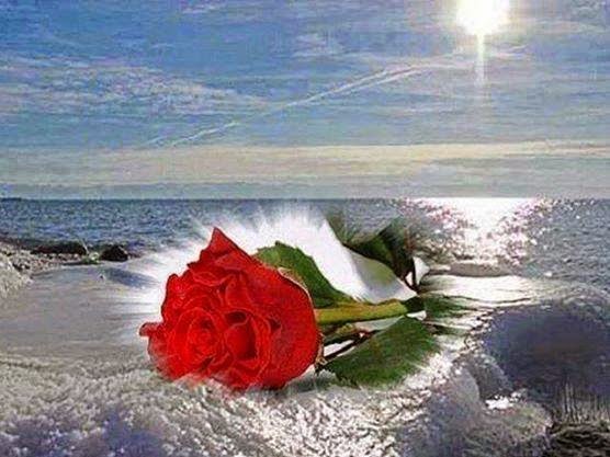 Καλοκαιρινές φωτογραφίες με τοπία, πολλές φωτογραφίες με Καλοκαιρινά θέματα, ΚΑΛΟΚΑΙΡΙ, Όμορφα Καλοκαιρινά τοπία, Παραλίες γεμάτο κόσμο, Πάμε θάλασσα,