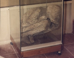 museo huamachuco