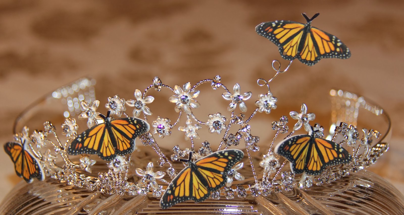 Express Your Creativity Butterfly Tiara