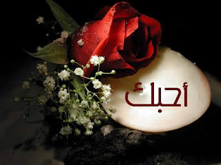 صور حلوه مع كلمات , خلفيات مكتوبه رائعة صور حلوه مع كلمات , خلفيات مكتوبه رائعة