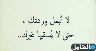 صور عتاب قوي صور عتب Proverbs Quotes Ali Quotes My Life Quotes