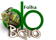 FOLHA DO BICHO