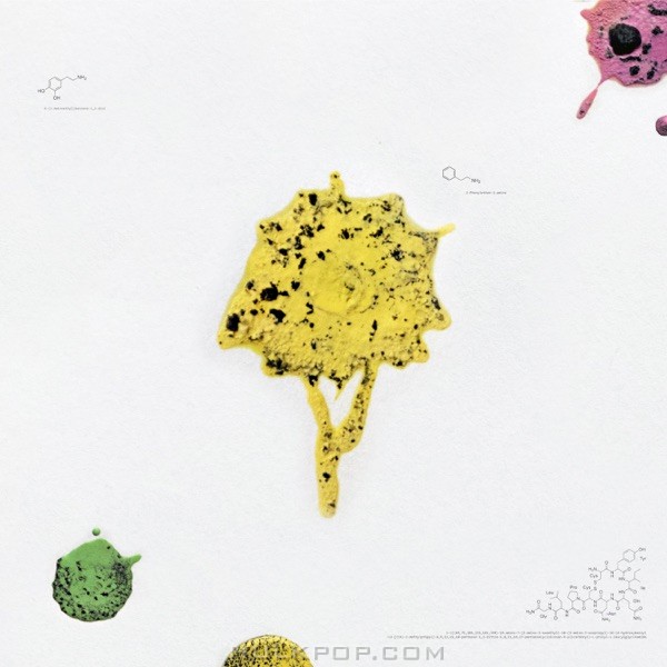 1amthomas – bochae – Single