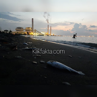 Banyak Ikan Mati Dipantai Mbayuran, Diduga Tercemar Limbah 1 WhatsApp%2BImage%2B2021 03 18%2Bat%2B20.46.01