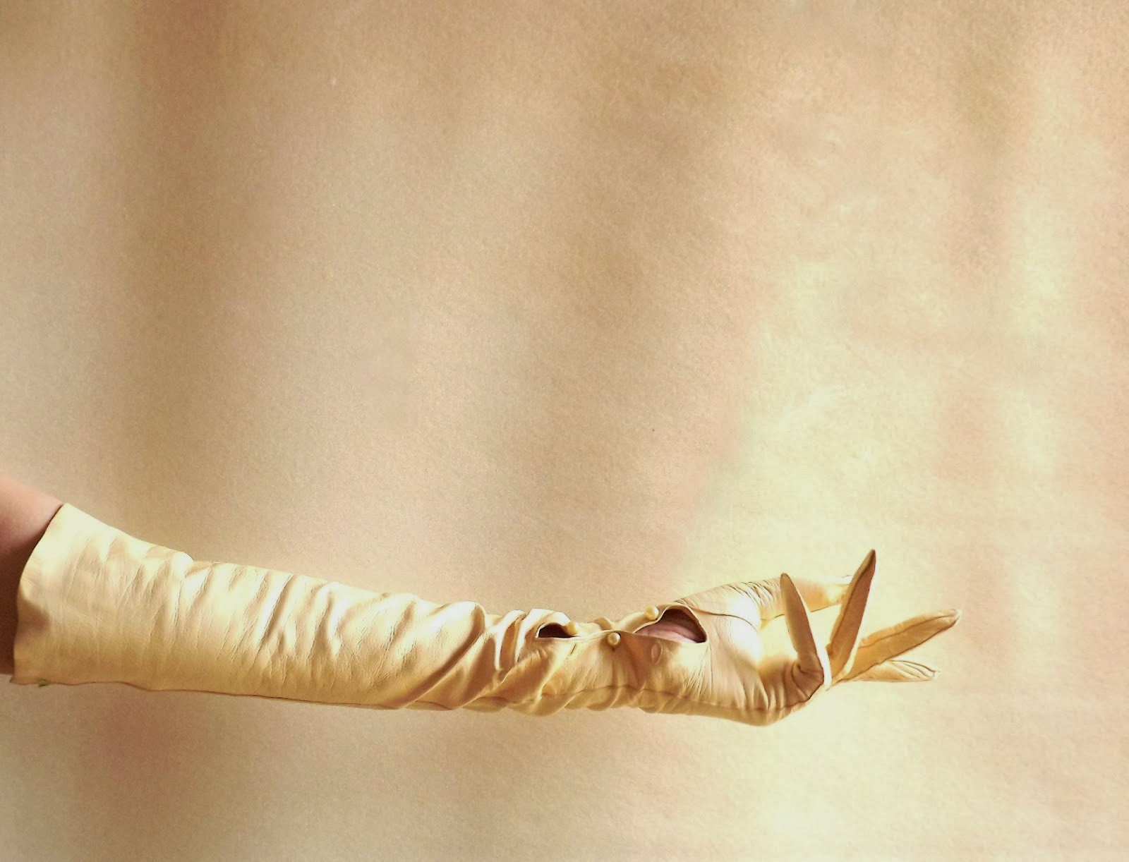 A DAY WITH THE MISTRESS Opera Season is Here!