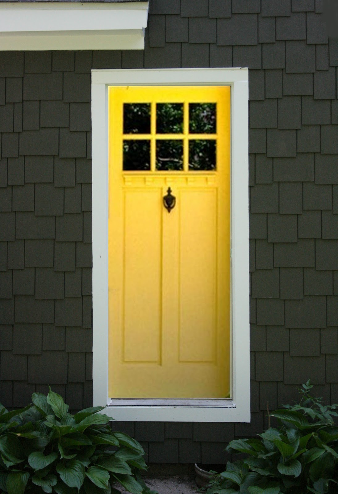 зеленая дверь. двери туниса фото. горчичная входная дверь. черно желтая дверь. дверь желтая с дефектом.