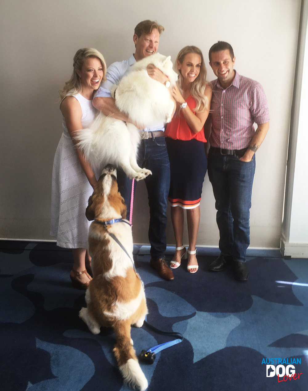 New Bondi Vet Line Up Revealed My Pets