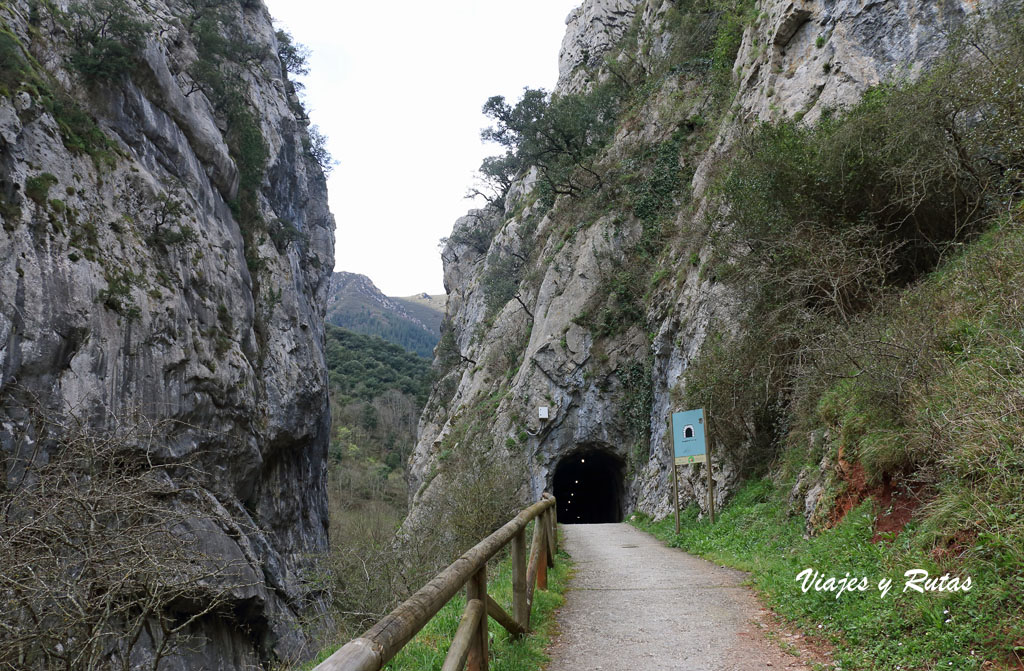 Senda del oso, Asturias