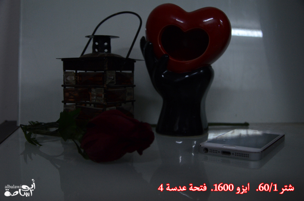 أبو أسامة البلوي ( صور وشروحات ) يناير 2014 أبو أسامة البلوي ( صور وشروحات ) يناير 2014