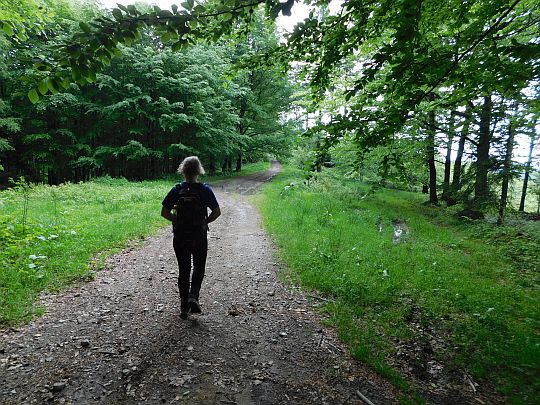 Szlak przez Beskid.