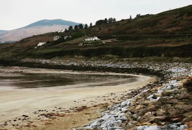 Day Trip from Dingle Town to Tralee - Inch Beach
