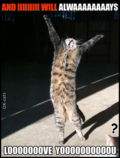 Art Cat GIF with caption • "And I will always love you ♪ ♫ "• Funny cat romance Art Cat GIF with caption • "And I will always love you ♪ ♫ "• Funny cat romance