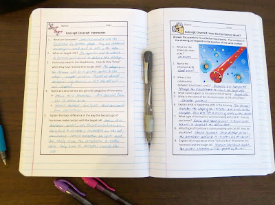 Amy Brown Science: Human Body: Oh No! The Endocrine System!