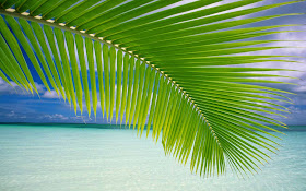 Laptop Background Wallpapers