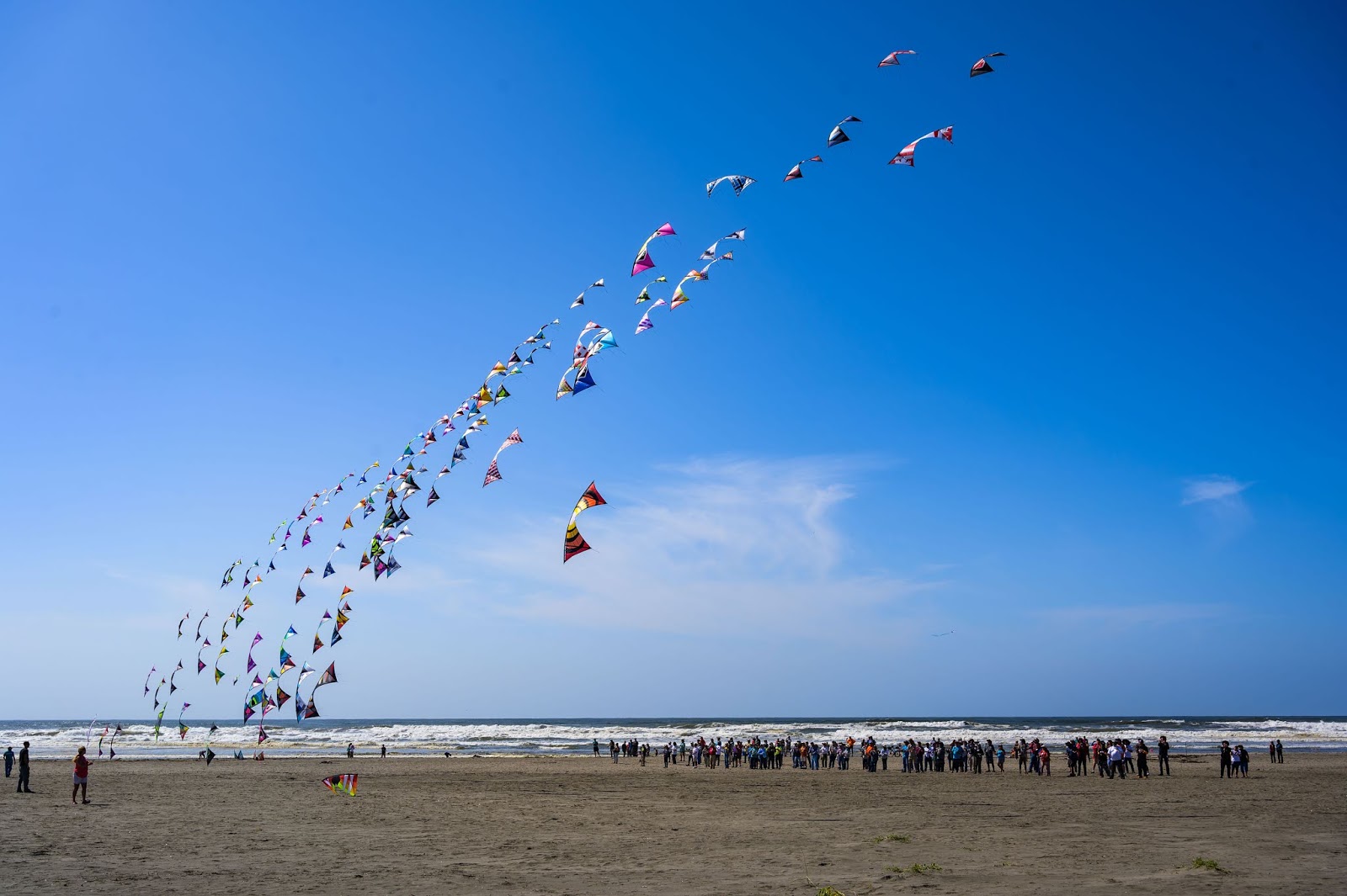 Illuminations from the attic World Record Mega Team Quad Kite Flying!