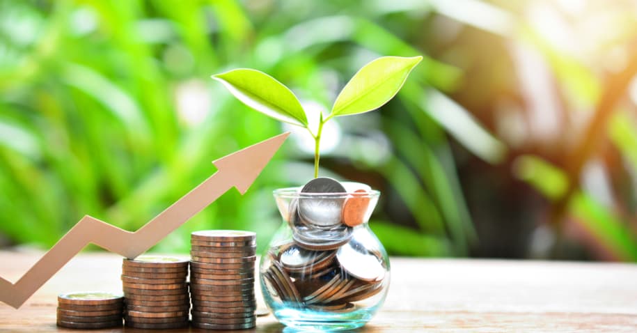 Saiba onde investir o seu dinheiro