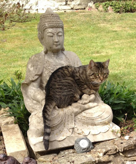 LEYENDA BUDISTA DE LOS GATOS