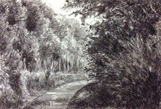 Charcoal sketching of Coorg landscape created on Canson C a grain paper by Manju Panchal