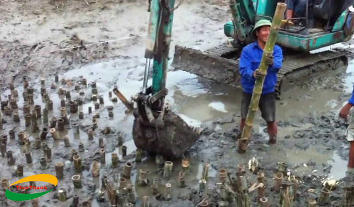 So sánh: Đóng cọc cừ tràm, cọc tre hay cọc bê tông cốt thép? | 1# CỪ TRÀM  TIẾN THÀNH - BÁN CỪ TRÀM TẠI TPHCM GIÁ RẺ - BÁO GIÁ CỪ TRÀM