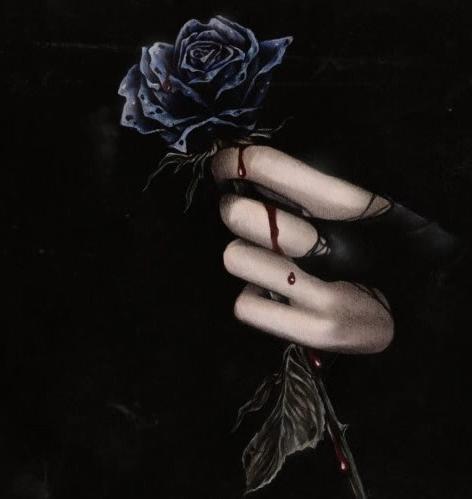 La Rosa Negra 1111