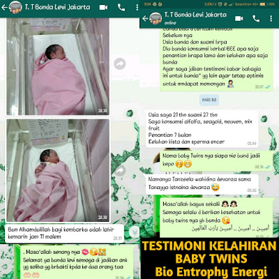 Jual Herbal Bee di Kediri
