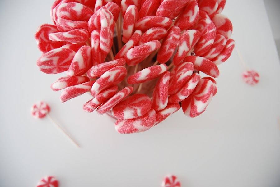 tutorial maceta de cuches fácil