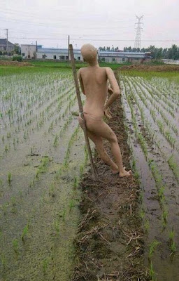 Cười bể bụng - cười chút chơi