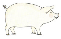 RECURSOS y ACTIVIDADES para Educación Infantil: Imagenes a color de CERDOS