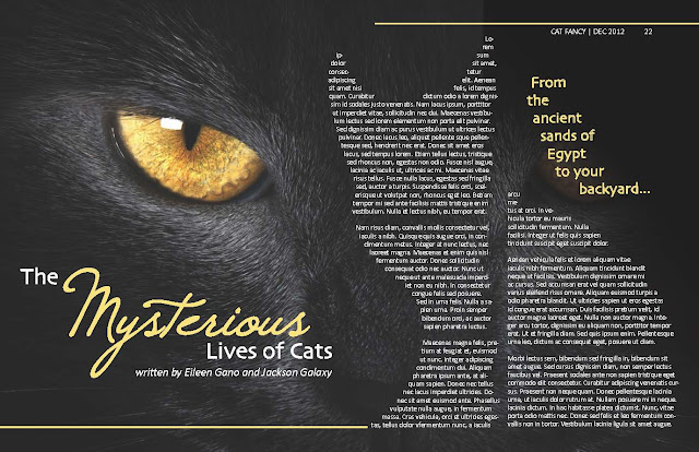 The Mysterious Lives of Cats Magazine Spread Eileen Gano