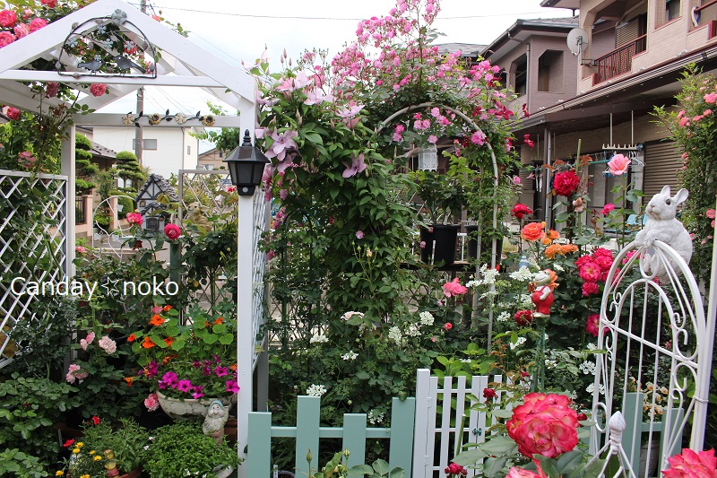machi の 素敵 な 薔薇 の 庭