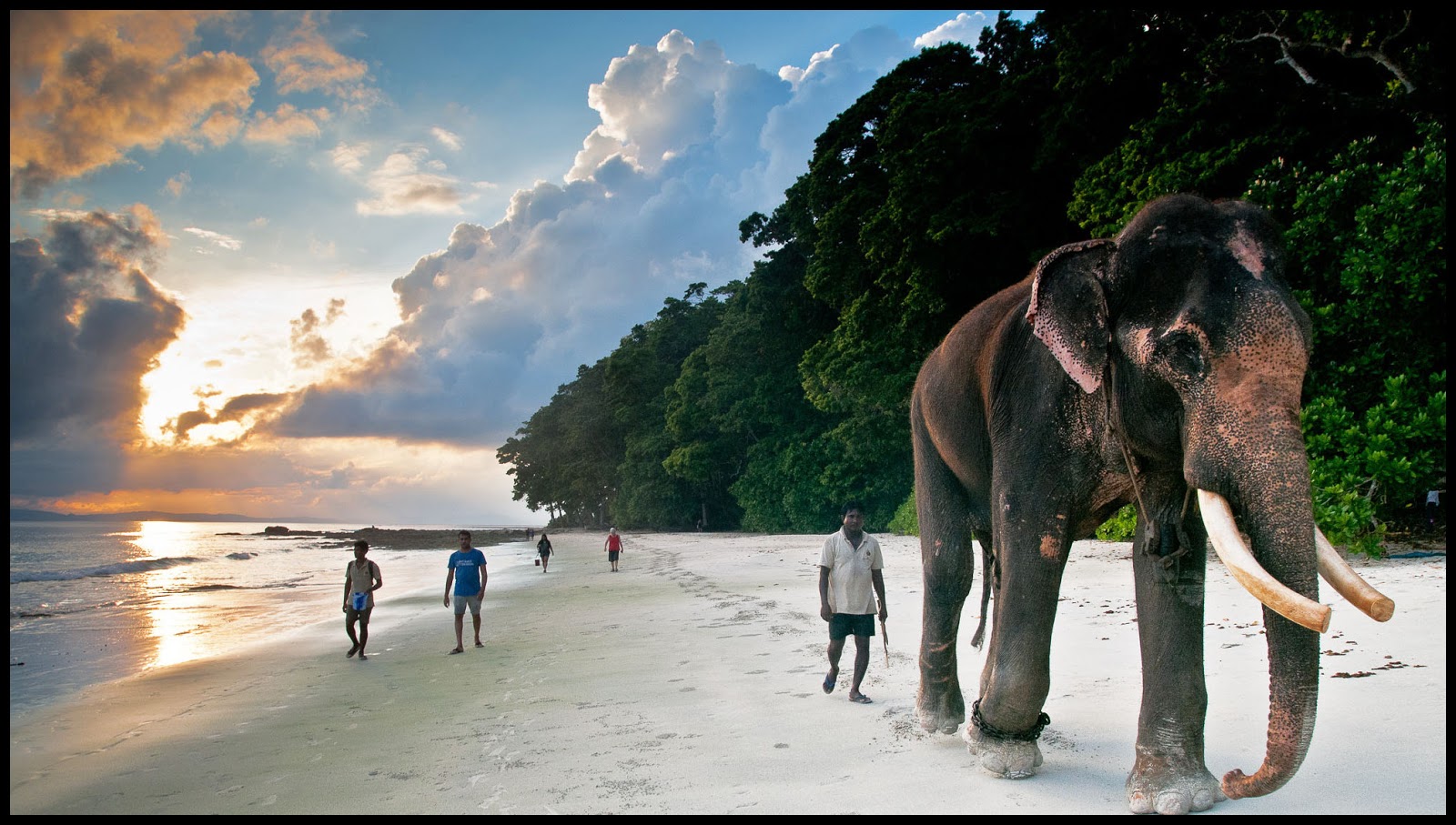 Шри ланка 2019 видео. Андаманские и Никобарские острова. Андаманские острова Индия. Андаманские острова Тайланда. Андаманские острова слон.