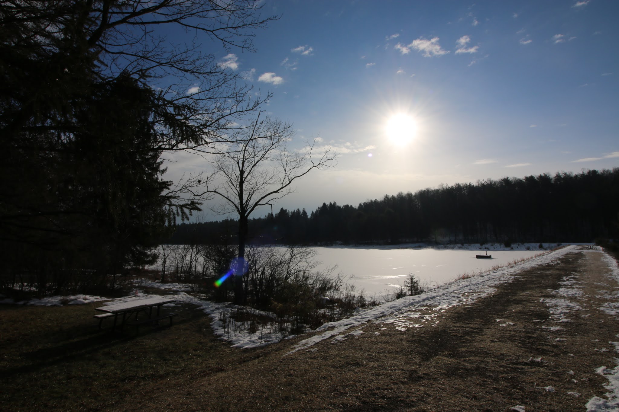 Hiking the Buzzard Swamp and Beaver Meadows Areas in Allegheny National