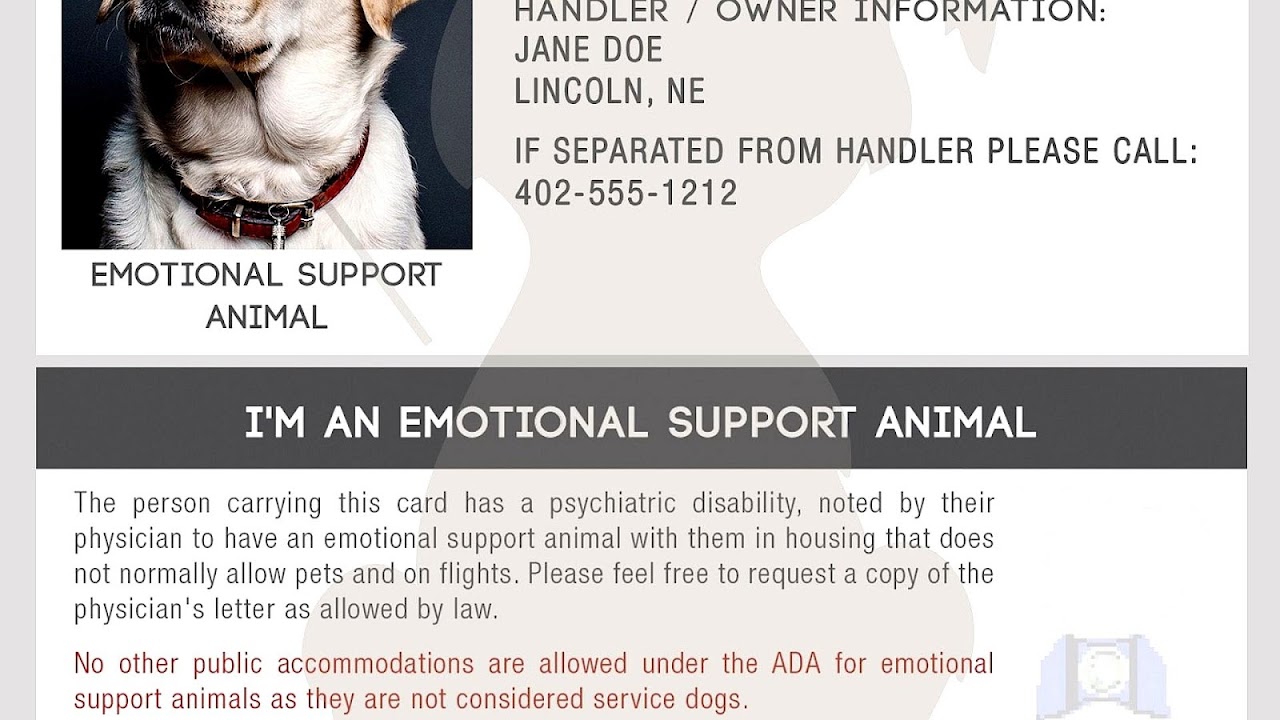 How Do I Make My Dog An Emotional Support Animal - Dog Choices