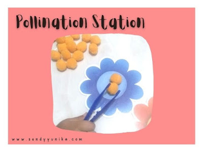pollination station
