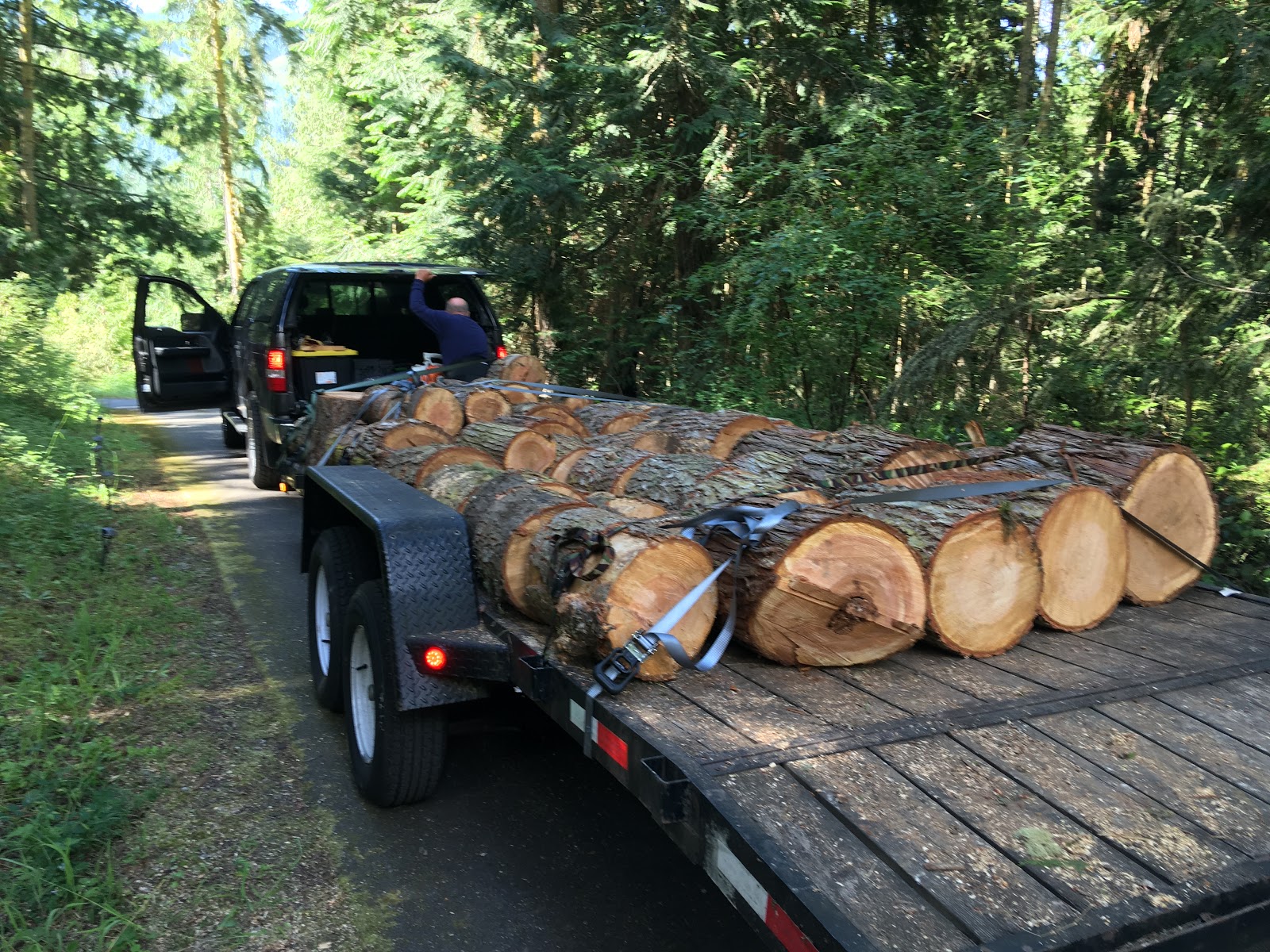 Gathering 68,000 Pounds of Free Firewood
