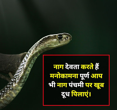 Best Nag Panchami Shayari