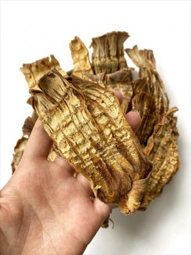 c7977923 9261 4646 8a8c e4d396c67423