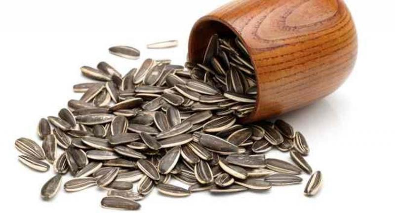 5 loại hạt giúp tóc khỏe 5 loại hạt giúp tóc khỏe