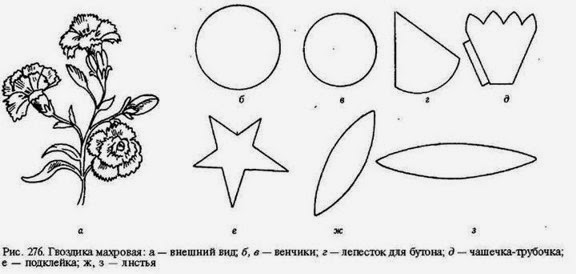 Гвоздики из фоамирана своими руками схемы шаблоны