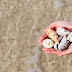 Revolutionary Breakthrough: Cone Snail Venom Can Cure Cancer?