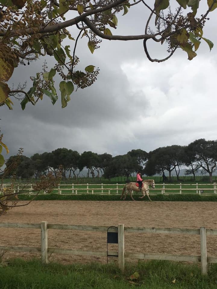 Cortijo El Indiviso, volunteer project, food and accommodation, Cadiz, Spain