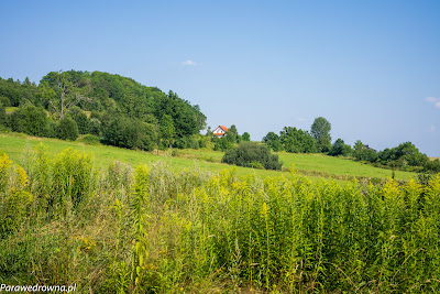 W drodze na Górę Szybowcową