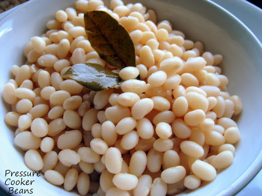 beans soaked pressure cooker brine cooking solution montana