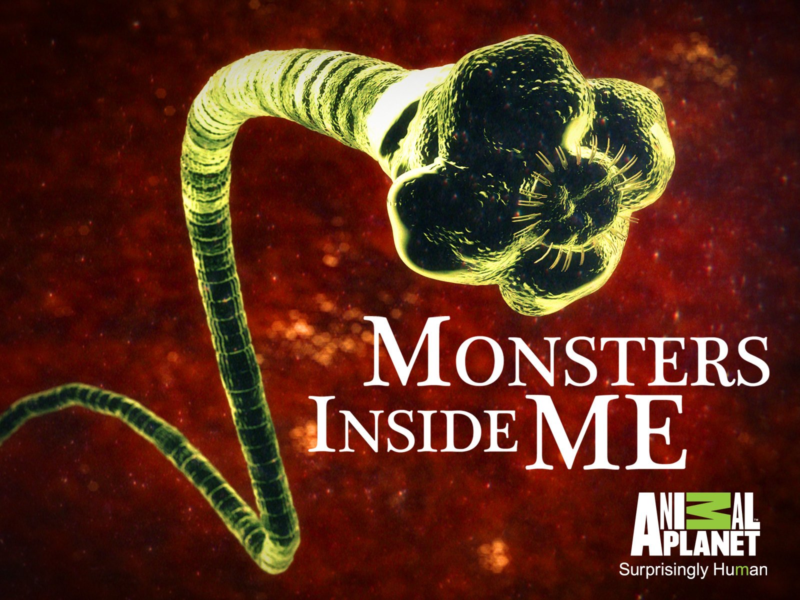 Monsters inside me. Monsters inside me. монстры внутри меня animal planet. монстры внутри меня animal planet. Monsters inside me.