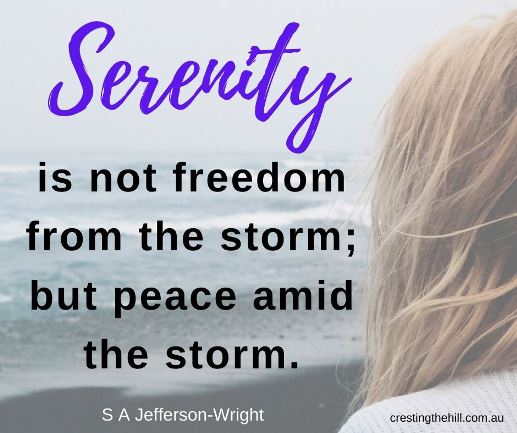 Serenity is not freedom from the storm; but peace amid the storm. #lifequotes