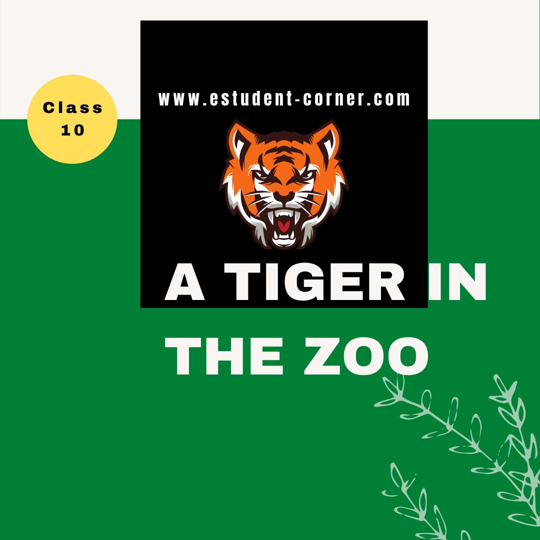 HSLC Solutions Assam | A Tiger in the Zoo Questions Answers | NCERT |  English Class 10 - Estudent-corner-Your Online Home Tutor