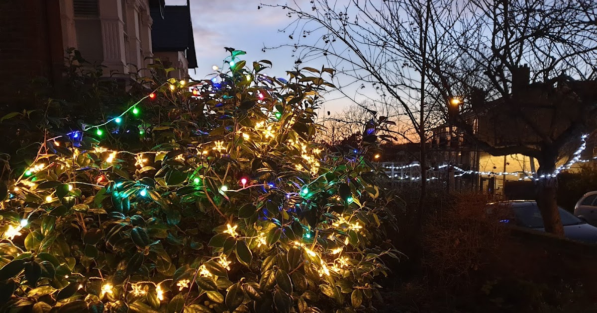 Waltham Forest Our Community Christmas Lights on display despite Covid!