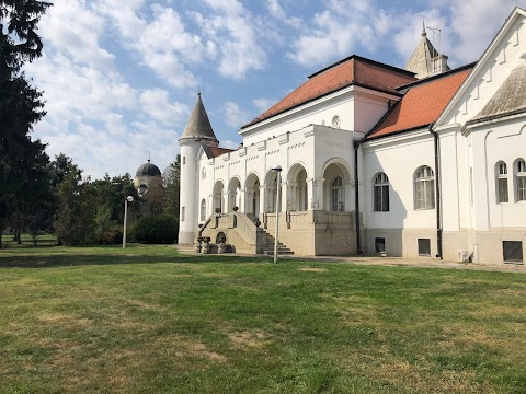 Dvorac Fantast ili dvorac Bogdana Dunđerskog