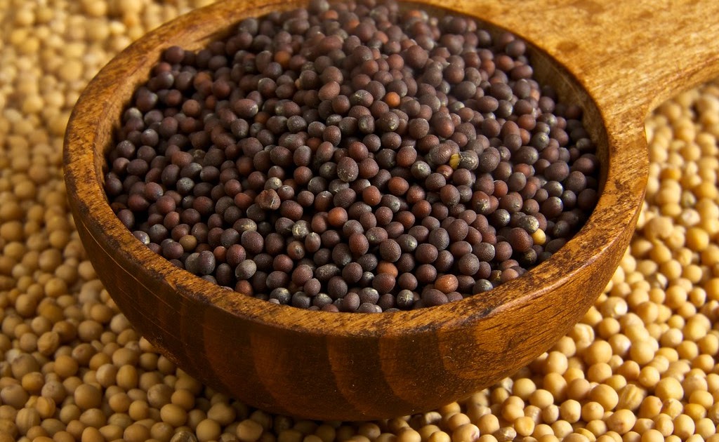 Mustard spice mustard common name and scientific name mustard