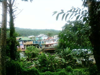 View from IIM Shillong